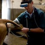 cow-scanning-service