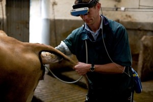 cow-scanning-service