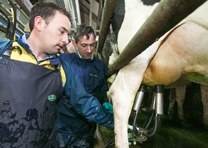 milking-course-milker-skills