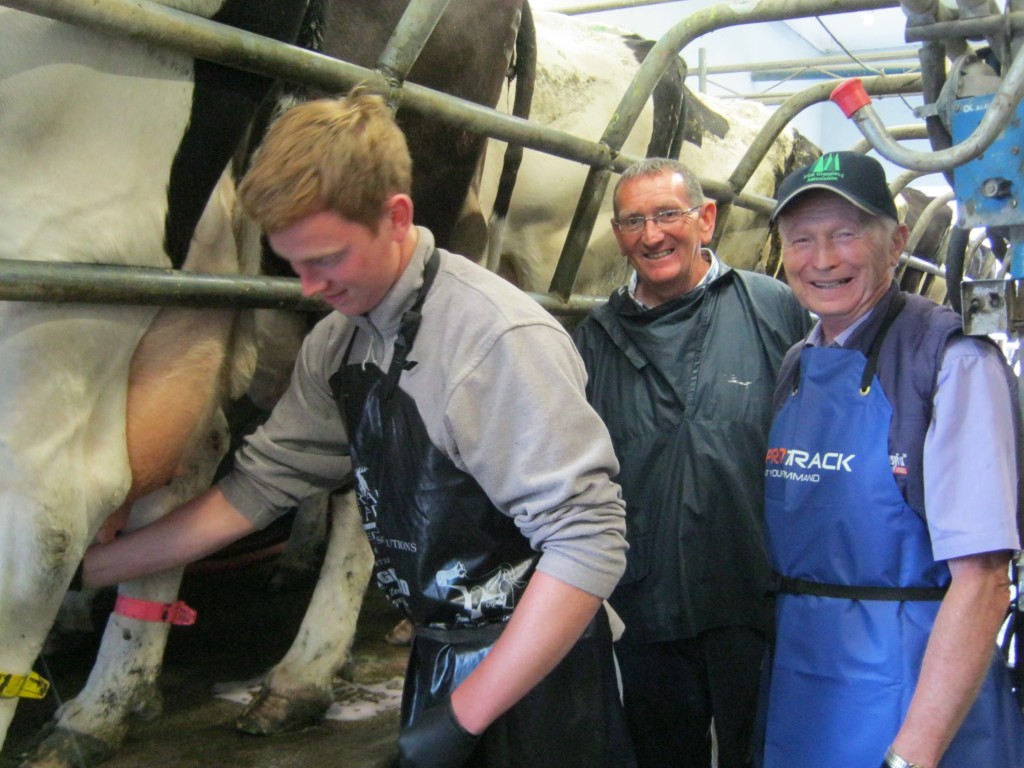 Father and son at best practice in milking course
