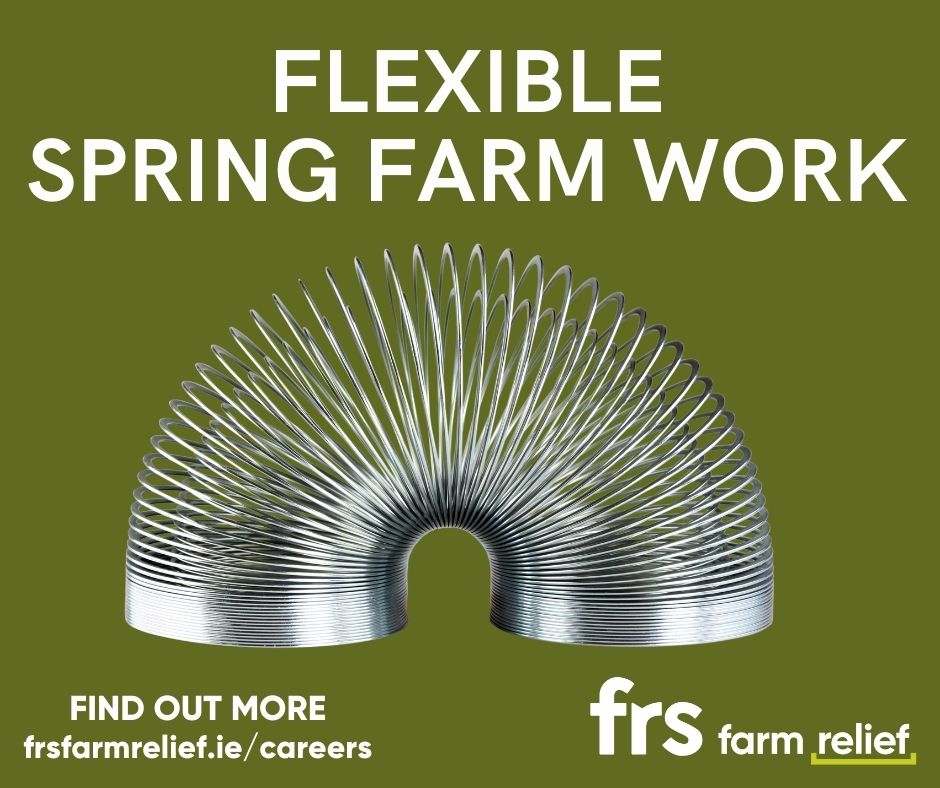 flexible-work-ireland