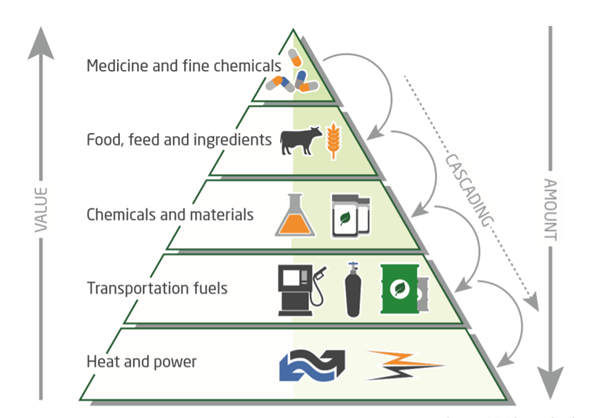 Can we cascade our way out of a climate crisis?