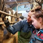 milking-training-ireland