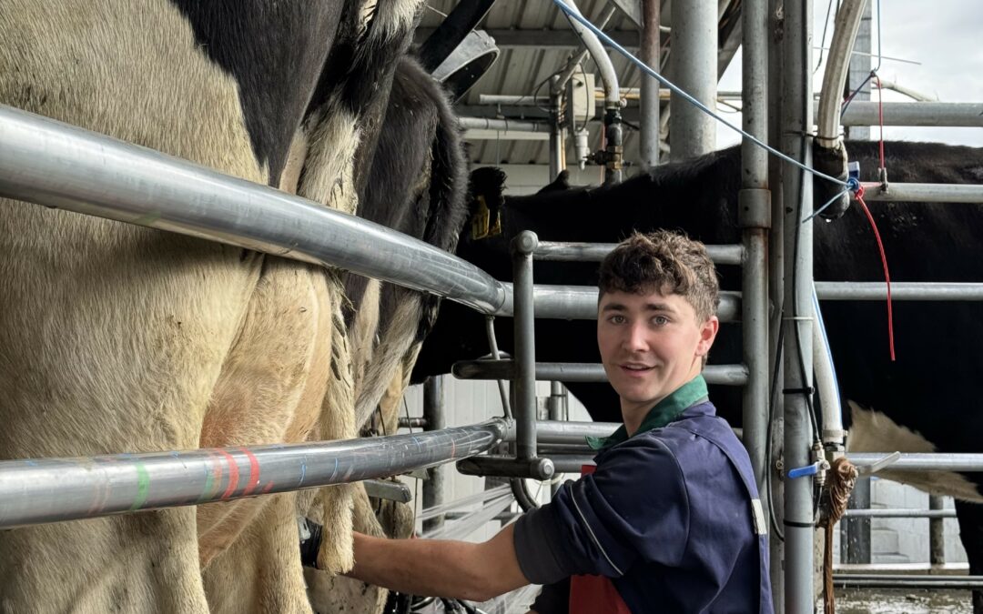 FRS Farm Services Launches International Partnership to Boost Calving Season Workforce