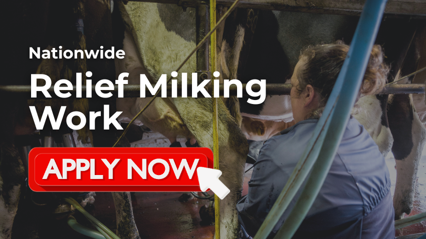 Relief Milking Work