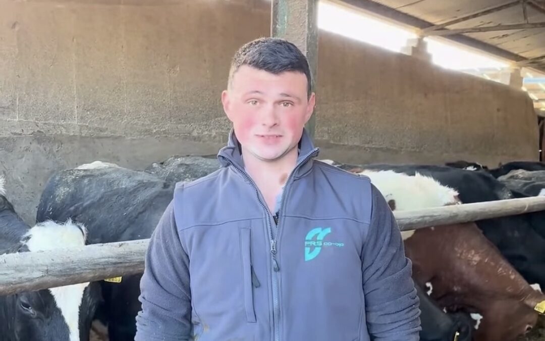 From Relief Milking to Farm Leasing: Conor Wynne’s Farming Journey